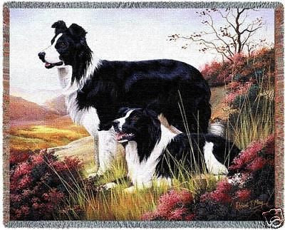 72x54 BORDER COLLIE Dog Throw Blanket