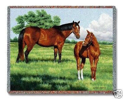 70x54 HORSE & COLT Throw Blanket