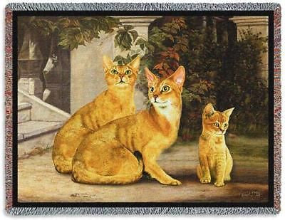 70x53 ABYSSINIAN CAT Throw Blanket