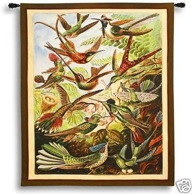 62x41 Trochilus Hummingbird Tropical Tapestry Wall Hanging