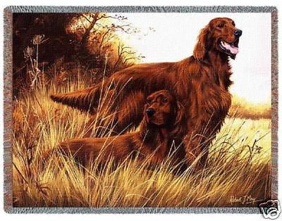 70x53 IRISH SETTER Dog Tapestry Throw Blanket Afghan